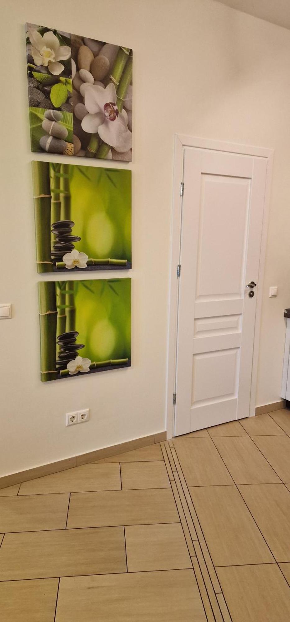 Palanga Apartaments - Mickeviciaus 8 Luaran gambar